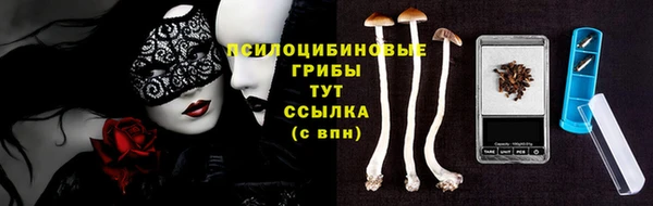 2c-b Медногорск