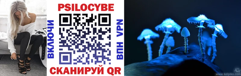 Купить закладки  Елизаветинская  Галлюциногенные грибы мухоморы 